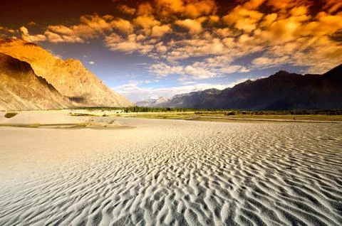Sunset at desert Stock Photos