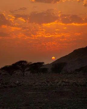 Sunset in the Desert Stock Photos