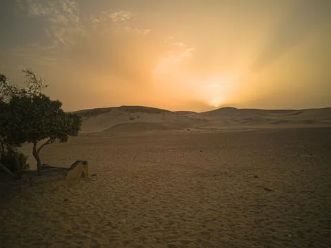 Sunset in the desert 스톡 사진