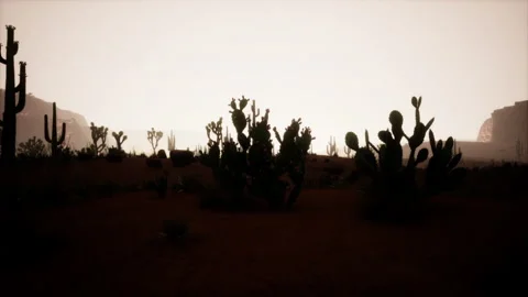 Sunset in the desert, Sunset in the desert in Dubai UAE Stock Footage 229837009