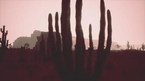 Sunset in the desert, Sunset in the desert in Dubai UAE Stock Illustration