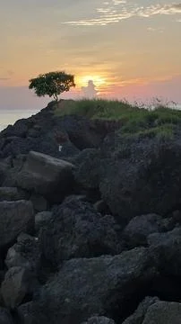 Sunset dipantai 库存照片