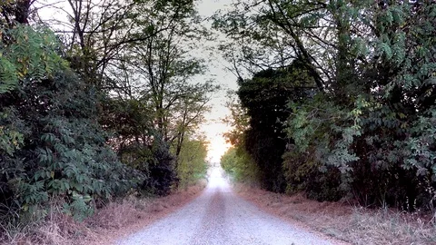 Sunset on dirt road Stock Footage 77335598