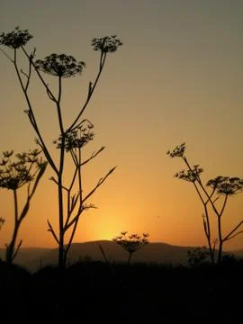 Sunset in the Distance 스톡 사진