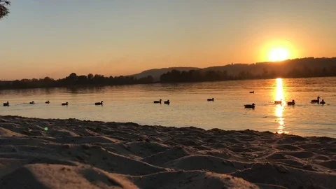 Sunset on Dnepr river. ducks on the river. Video stock 97011753