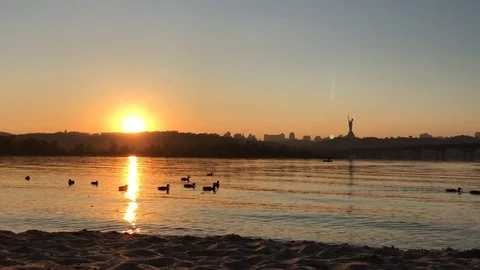 Sunset on Dnepr river. ducks on the river. Video stock 97011836