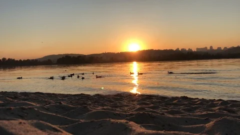 Sunset on Dnepr river. ducks on the river. Stock-Footage 97012041