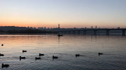 Sunset on Dnepr river. ducks on the river. Stock-Footage 97013429