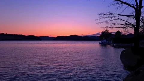 Sunset dock and trees Stock Footage 255760397