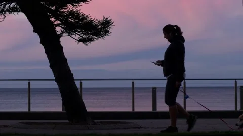 Sunset dog walker on Manly promenade slow motion 4K Video stock 155527652