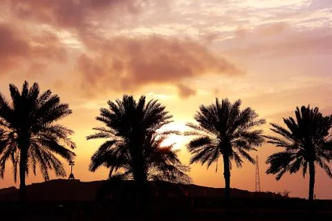 Sunset in Doha Stock Photos