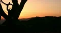 Sunset Dolly 02 San Gabriel Mts Dolly L HD Footage
