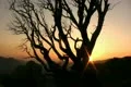 Sunset Dolly 03 San Gabriel Mts Dolly L Footage