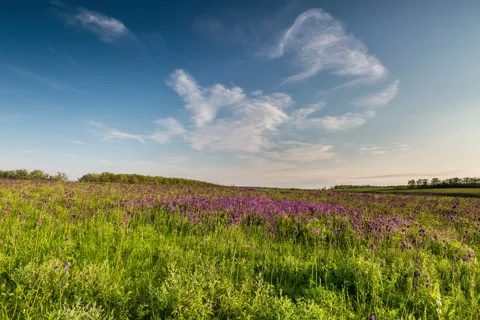 Sunset in the Don steppe. Stock Footage 50566632