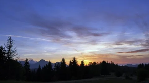 Sunset dramatic sky with black silhouettes of trees in forest, colorfull pastel Stock Footage 254547194