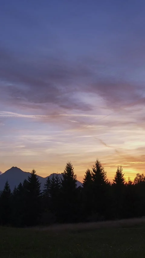 Sunset dramatic sky with black silhouettes of trees in forest, colorfull pastel Stock Footage 262092844