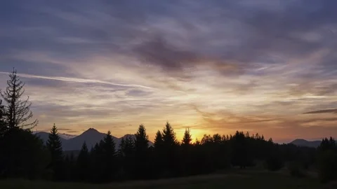 Sunset dramatic sky with black silhouettes of trees in forest, colorfull pastel Stock Footage 264043401