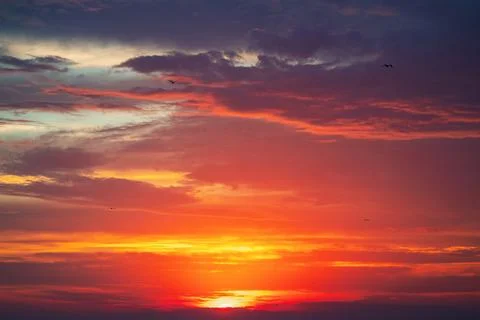 Sunset dramatic sky clouds, scenic sunrise skyline cloudscape 스톡 사진