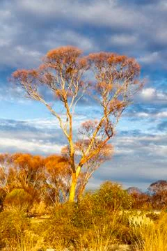Sunset with a dramatic sky Stock Photos