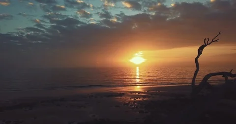 Sunset with Driftwood Video stock 98222400