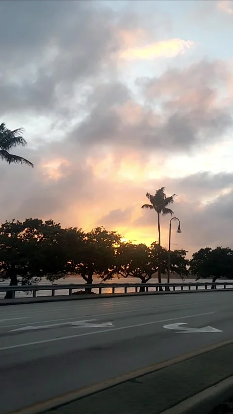 Sunset drive in Beautiful Florida  Editorial Use Only 스톡 동영상 317316640