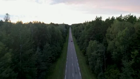 Sunset Drive Through Enchanted Forest Video stock 249590464