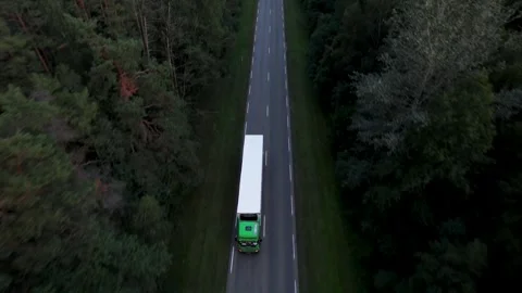 Sunset Drive Through Enchanted Forest Video stock 249590483