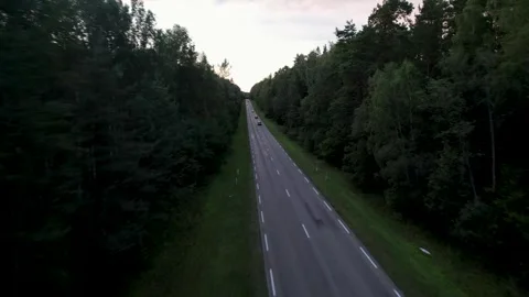 Sunset Drive Through Enchanted Forest Video stock 249590495