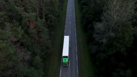 Sunset Drive Through Enchanted Forest Video stock 249590496