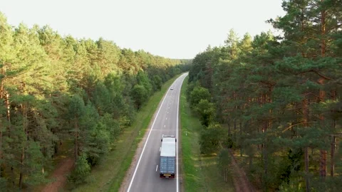 Sunset Drive Through Enchanted Forest Video stock 249590688