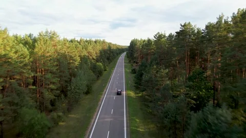 Sunset Drive Through Enchanted Forest Video stock 249590696