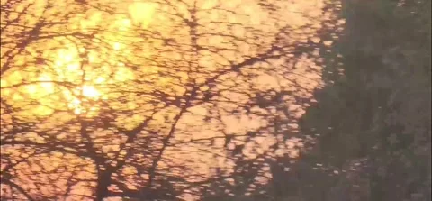 SUNSET Driving Plate magic hour moving car Punjab,India, November 15, 2023 Stock Footage 256319361