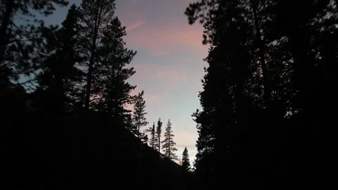 Sunset driving through trees gimbal in Rocky mountain national park 4k 60fps Stock Footage 135307329