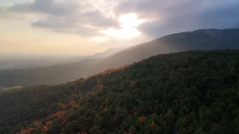 Sunset Drone Flight Over Lush Green Forest | Cinematic Aerial Nature Landscape Stock Footage 340082066