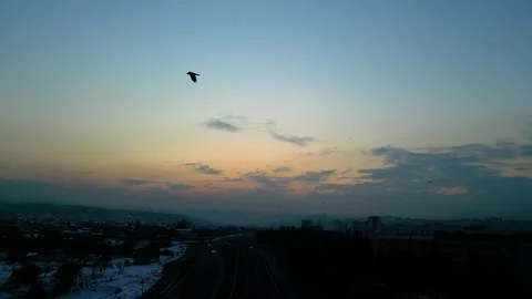 At sunset, a drone flying with crows over the road 動画素材 294798845