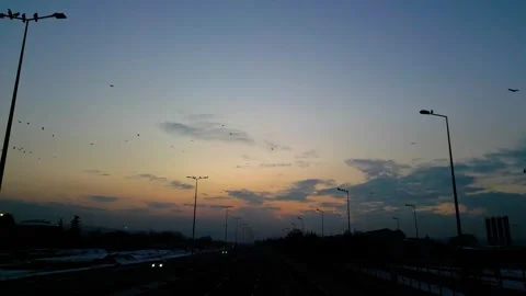 At sunset, a drone flying with crows over the road 動画素材 294806592