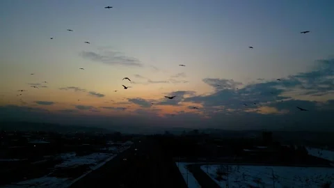 At sunset, a drone flying with crows over the road 動画素材 294808647