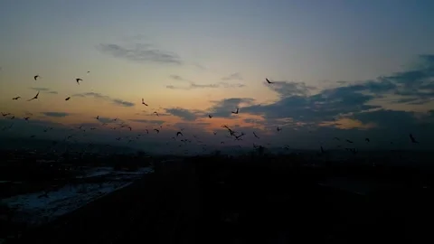 At sunset, a drone flying with crows over the road 動画素材 294809783