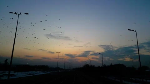 At sunset, a drone flying with crows over the road 動画素材 294810127