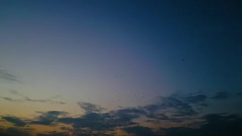 At sunset, a drone flying with crows over the road 動画素材 294812756