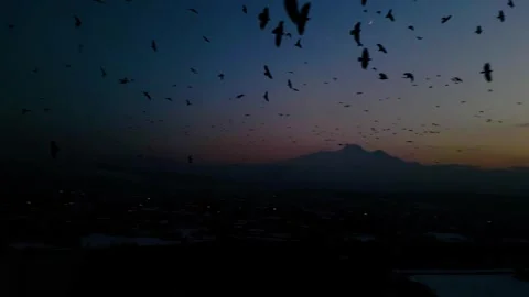 At sunset, a drone flying with crows over the road 動画素材 294814610