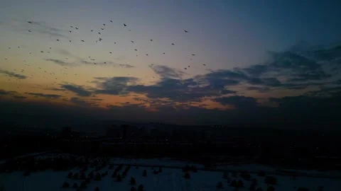 At sunset, a drone flying with crows over the road 動画素材 294814642