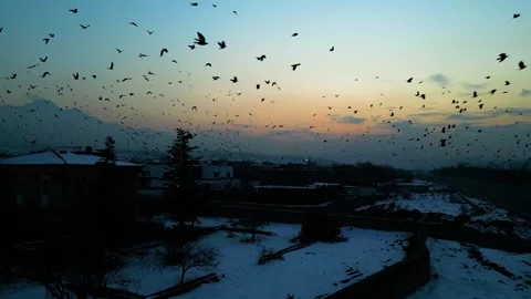 At sunset, a drone flying with crows over the road 動画素材 294818717