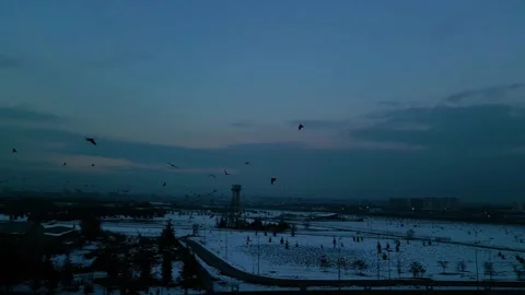 At sunset, a drone flying with crows over the road 動画素材 294820714
