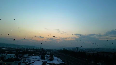 At sunset, a drone flying with crows over the road 動画素材 294821939