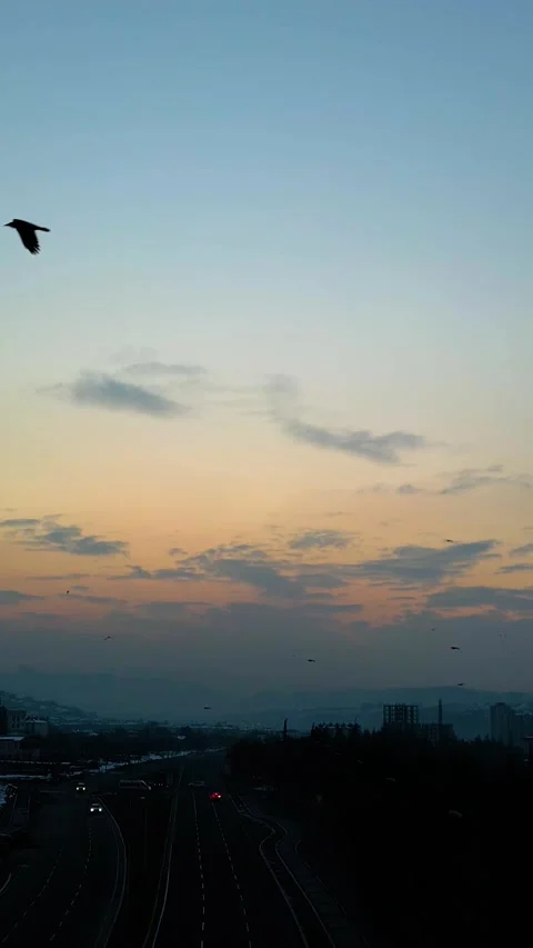 Sunset Drone Flying Crows Over Road Vertical Video Vídeo Stock 334879576