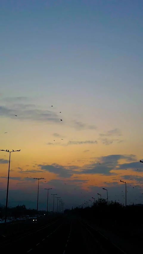 Sunset Drone Flying Crows Over Road Vertical Video Stock-Footage 334880995