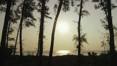 Sunset drone shot Stock Footage 159114252