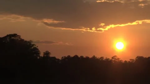 Sunset drops fast disappears behind tree line time-lapse Stock Footage 10829503