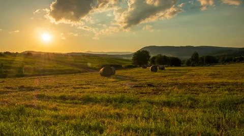 A sunset on a dry grass field Foto stock